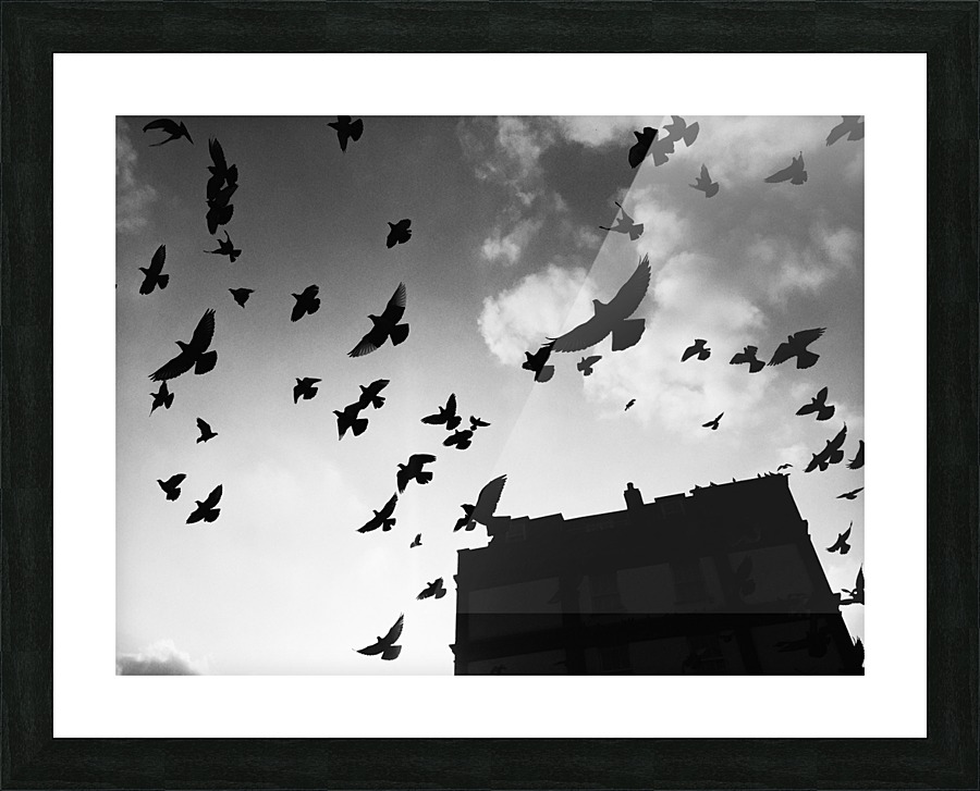 Be Fly Picture Frame print