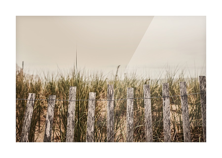 Dunes Picture Frame print