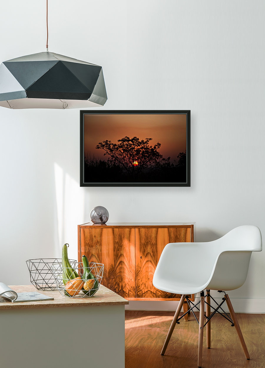 South African Sunset Reproduction