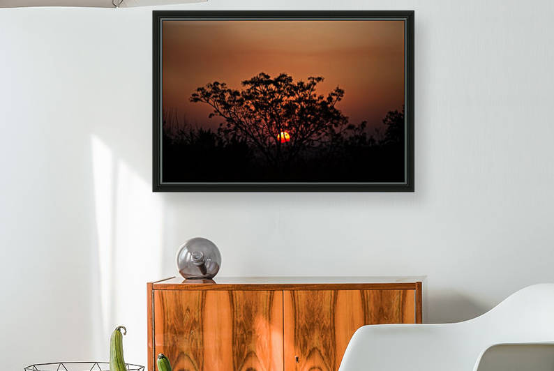 South African Sunset Reproduction