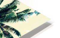 Paradise  HD Metal print