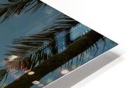 Canguu Bali HD Metal print