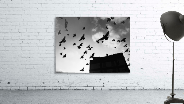 Be Fly Wall Preview