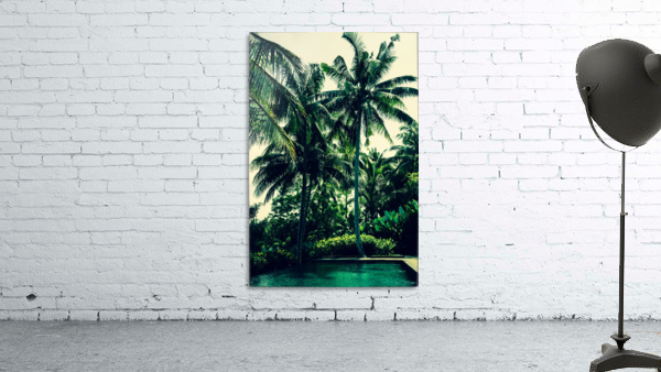 Paradise  Wall Preview
