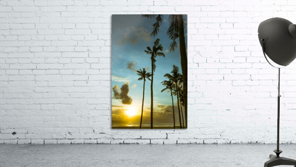 Canguu Bali Wall Preview