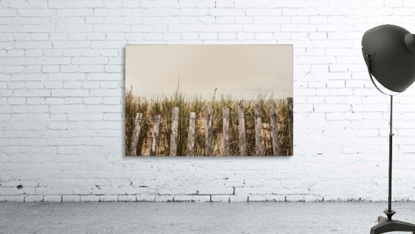 Dunes Wall Preview