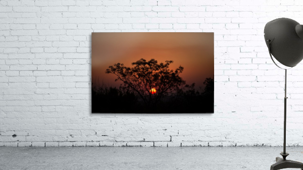 South African Sunset Wall Preview