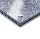 Canard perdu  Acrylic print