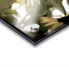 Nature reinventee : Decouvrez le tournesol en macro desature  Acrylic print