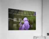 Macros sous la pluie Acrylic Print