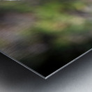 Macro canard Metal print