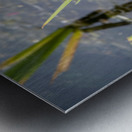 Belle journee au soleil Impression metal