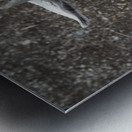 Bebe chevre Impression metal