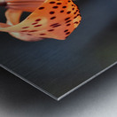 Lys au soleil dete Metal print