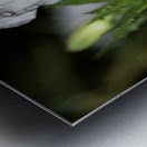 Fleurs power Metal print