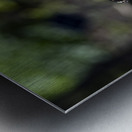 Distant Monarch: Butterfly on Yellow Flowers Metal print