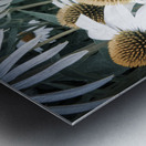 Splendeur botanique : Champs de fleurs dEchinace capture en macro avec une touche de desaturation Metal print