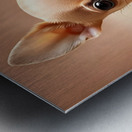 Exploration artistique : Le chihuahua beige dans lunivers de Midjourney Impression metal