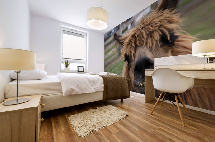 Coucou mon amie    Mural print