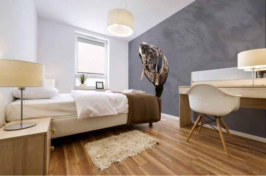 Petit Nageur  Mural print