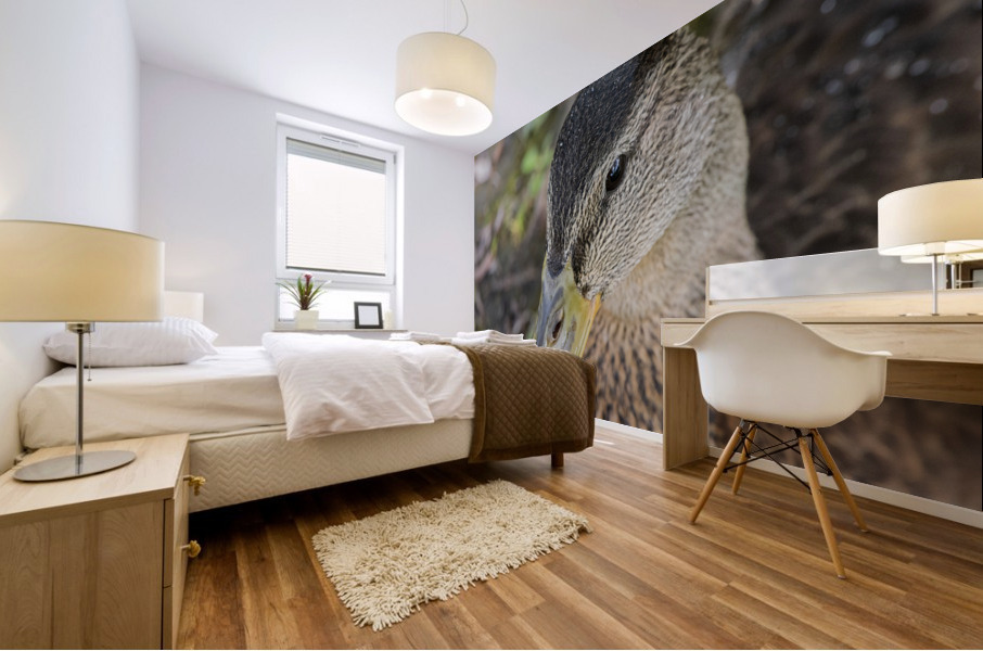 canard macro Mural print