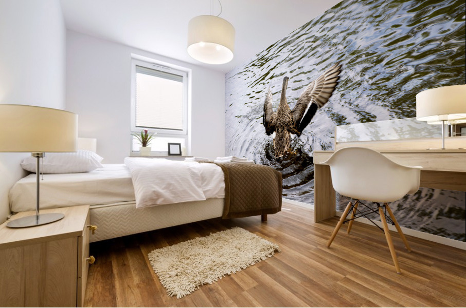 Canard envol Mural print