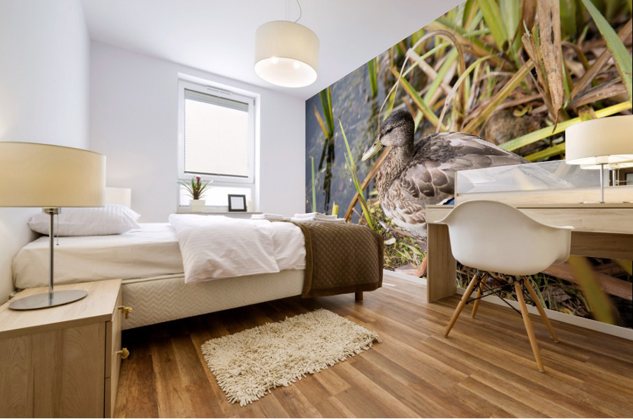 Belle journee au soleil Impression murale