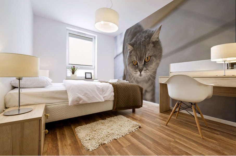Gros minou Mural print