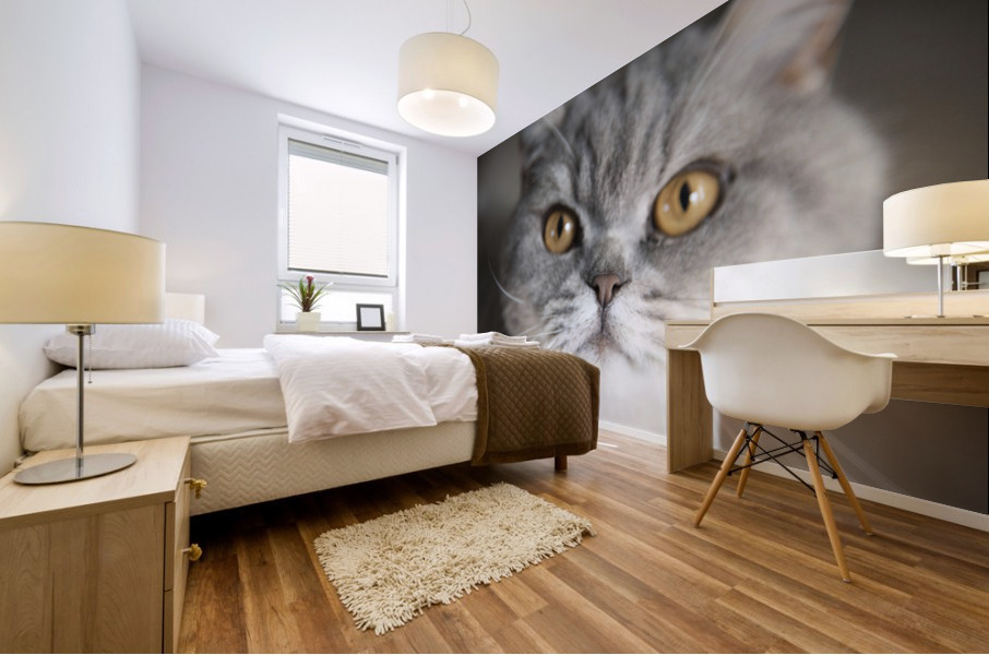 Chat macro Mural print