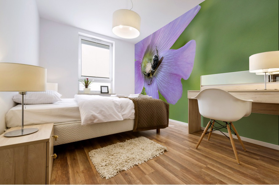 Natures Worker: Macro Image of Pollen-Covered Bee on Hibiscus Impression murale