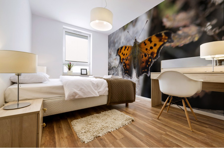 Resting Radiance: Orange-Winged Butterfly on Grey Rock Mural print