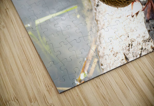 Canard du Quebec Melissa Lefebvre puzzle