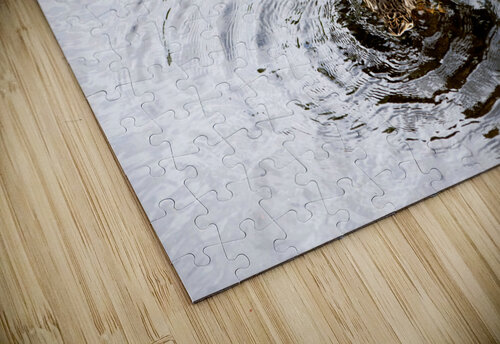 Canard envol Melissa Lefebvre puzzle