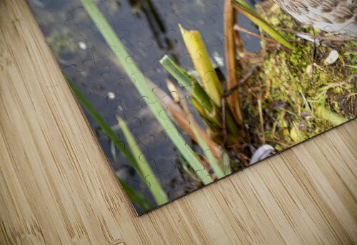 Belle journee au soleil Melissa Lefebvre puzzle