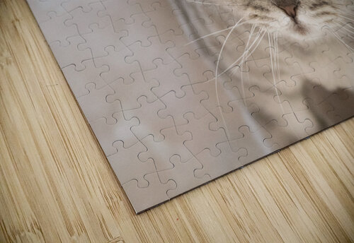 Chat chez soi   Melissa Lefebvre puzzle