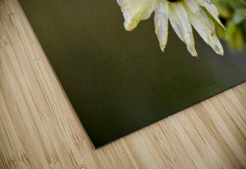 Survivant  Melissa Lefebvre puzzle