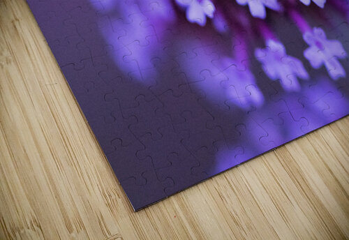 Macro fleur verveine Melissa Lefebvre puzzle