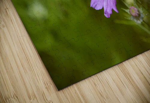Cosmos solitaire Melissa Lefebvre puzzle