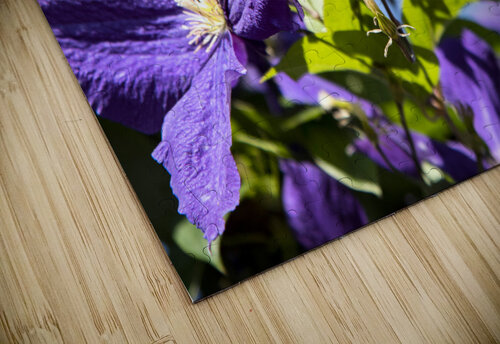 Fleurs du printemps Melissa Lefebvre puzzle