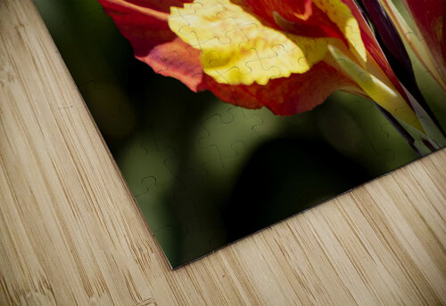 Balisier comestible Melissa Lefebvre puzzle