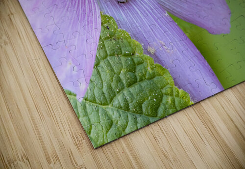 Natures Worker: Macro Image of Pollen-Covered Bee on Hibiscus Melissa Lefebvre puzzle