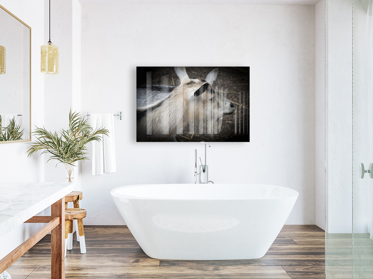 Chevre et compagnon Reproduction