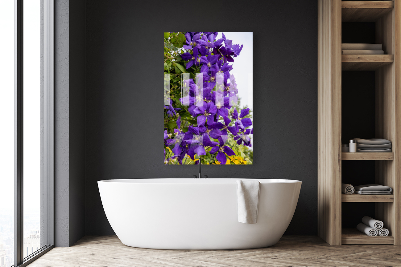 Grappe de clematis Reproduction