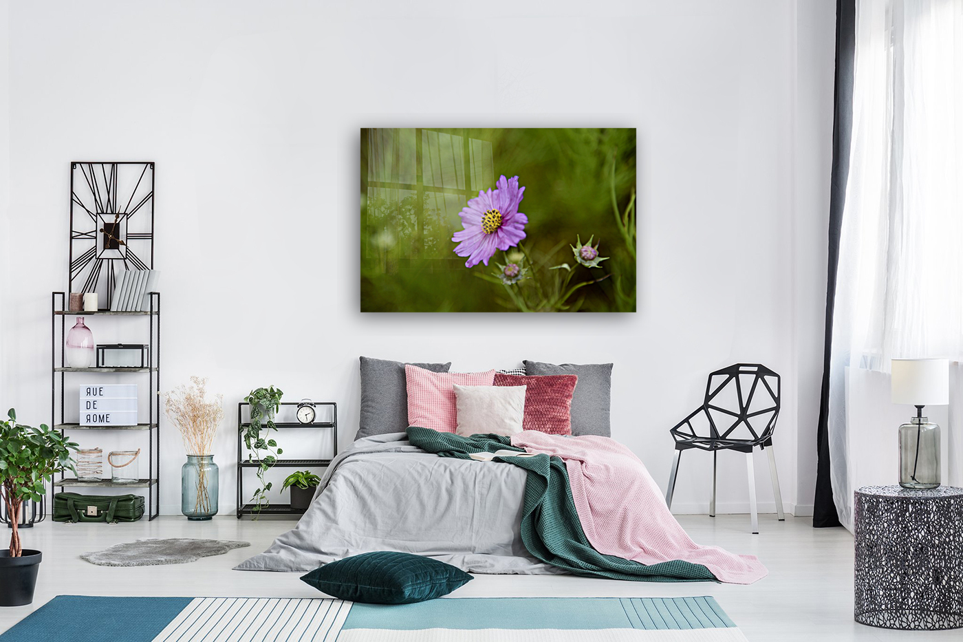 Cosmos solitaire Reproduction