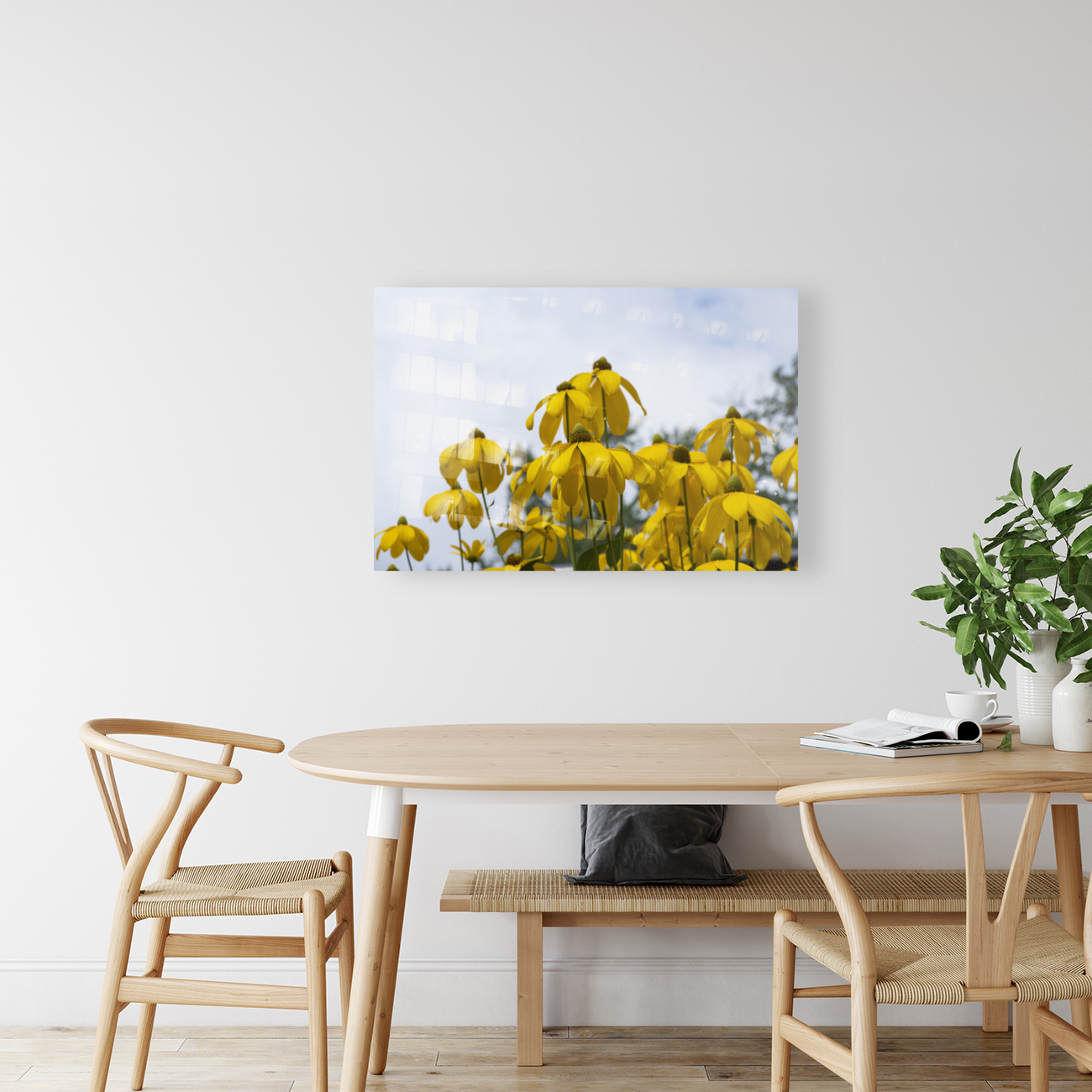 Tournesol naturel Reproduction