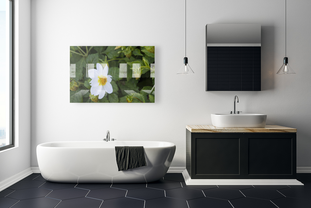 fleurs isole Reproduction