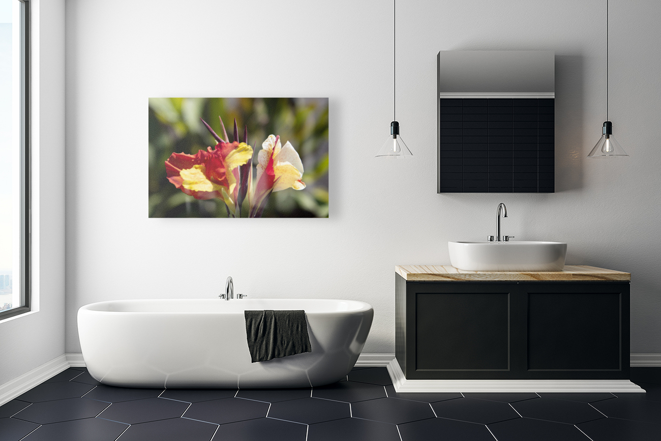 Balisier comestible Reproduction