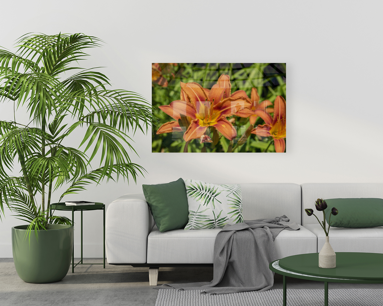 Lys orange Reproduction