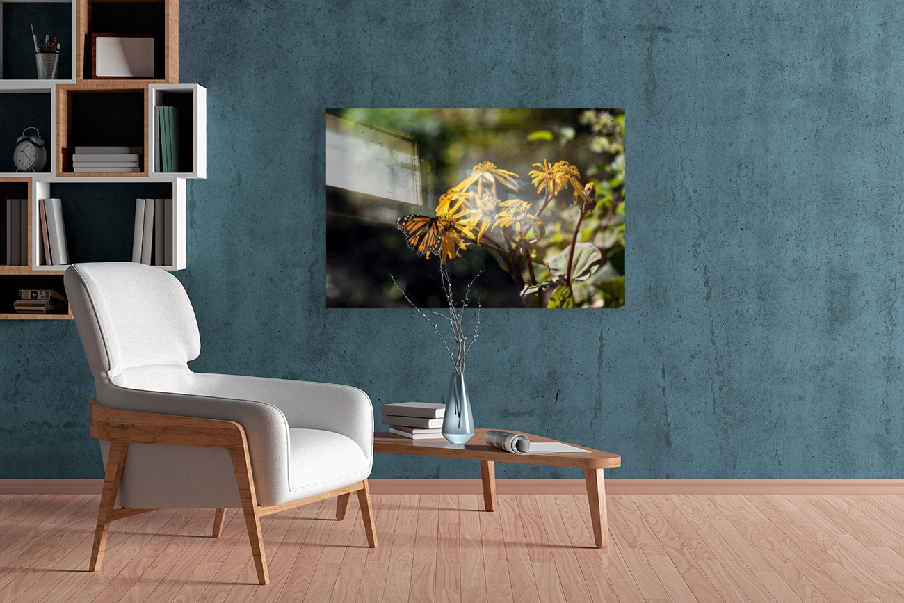 Distant Monarch: Butterfly on Yellow Flowers Reproduction