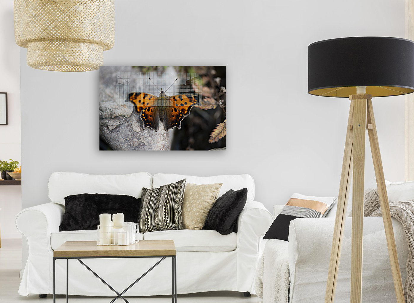 Resting Radiance: Orange-Winged Butterfly on Grey Rock Reproduction